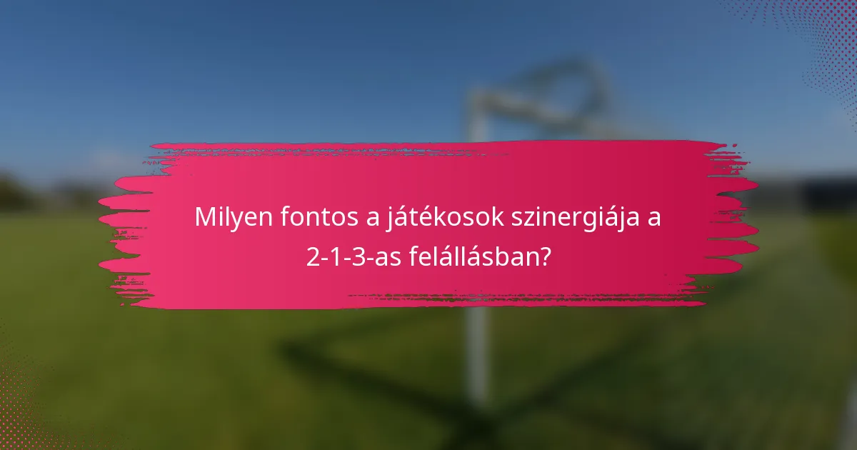 Milyen fontos a játékosok szinergiája a 2-1-3-as felállásban?